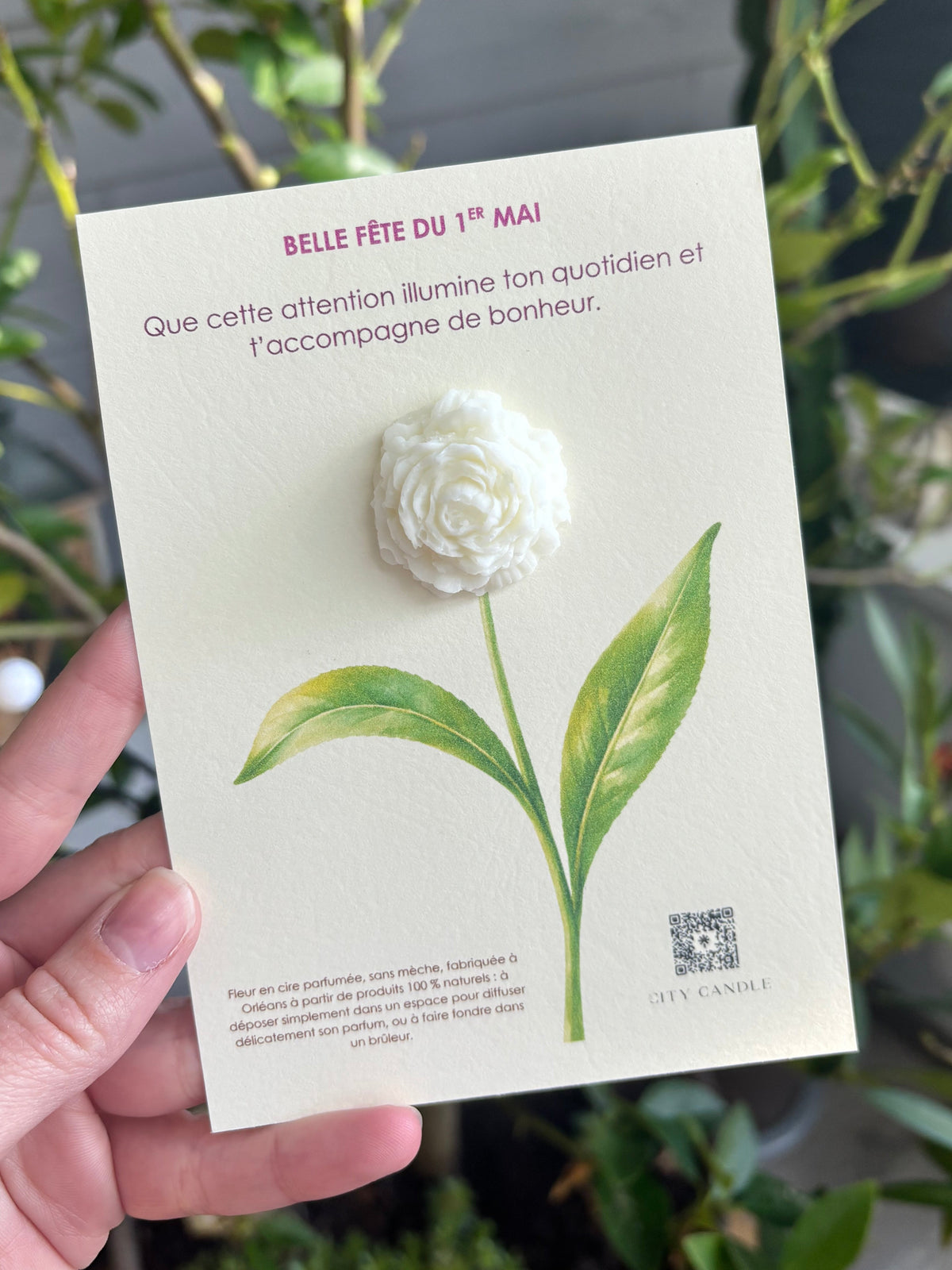 Belle fête du 1er mai